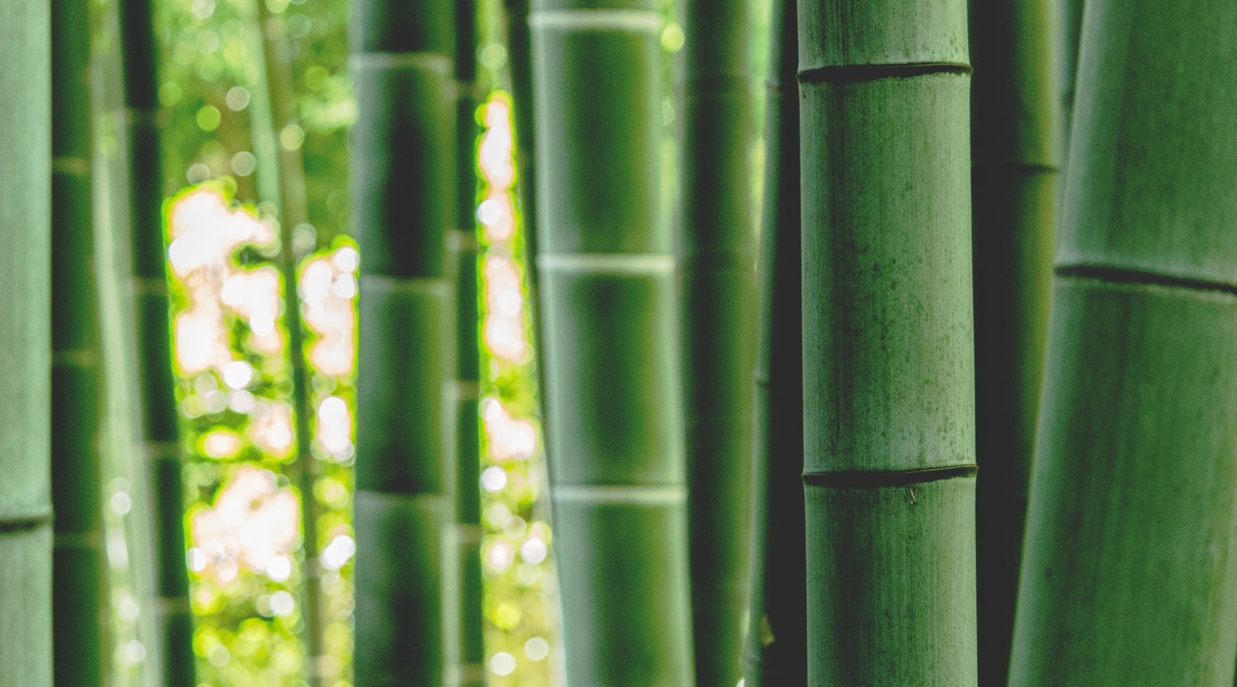Care advice bamboo fabric - bambu tvättråd